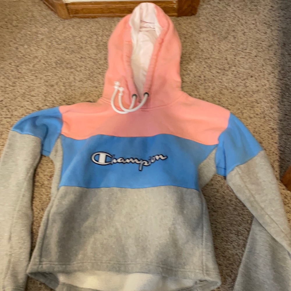 Champion cropped hoodie